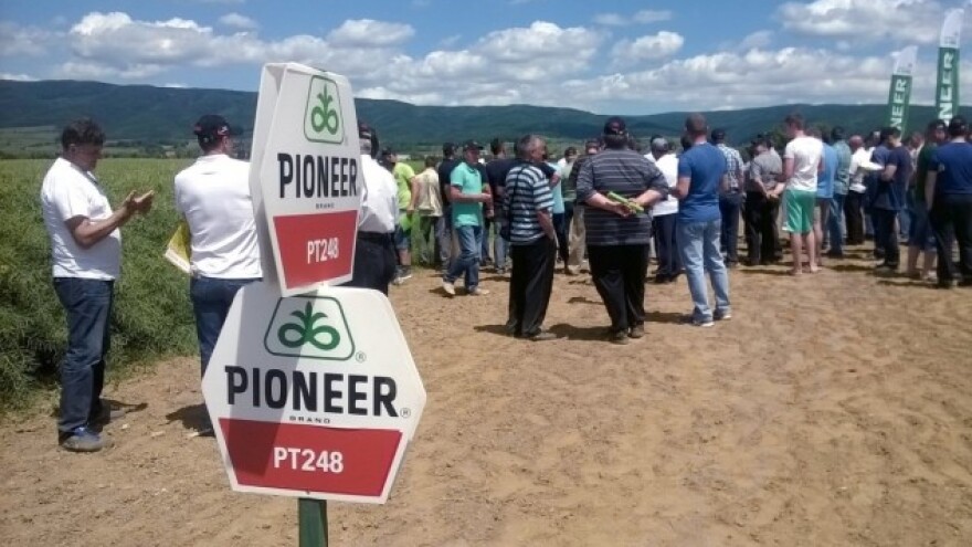 Pioneer uljana repica prošla na ispitu!