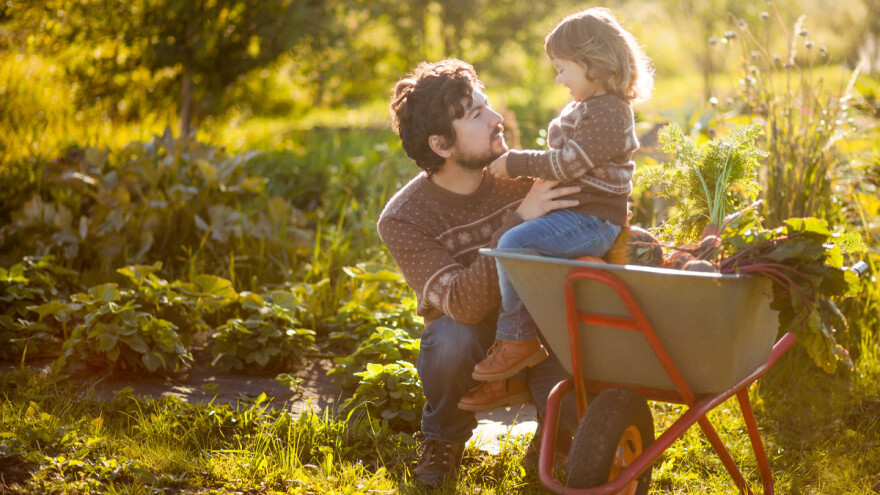 Šta je PIP poljoprivreda?