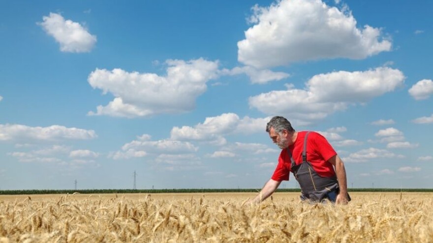 Kako uopće sačuvati eko proizvod do trženja?