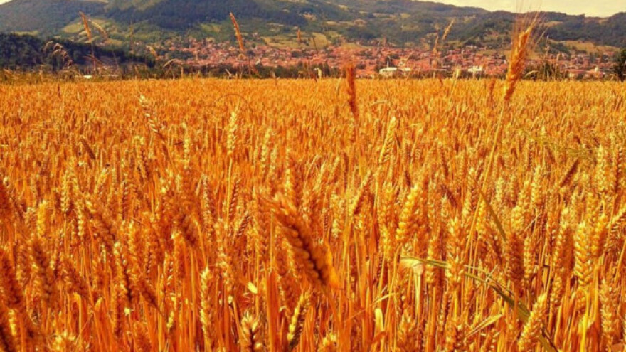 Faraonsko etno selo u dolini piramida