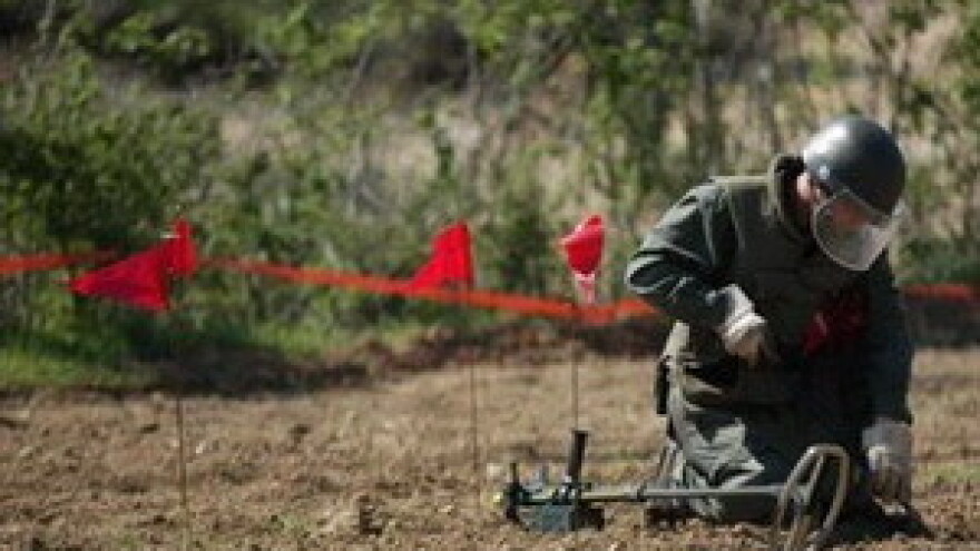 Pod voćem pronađene 124 mine