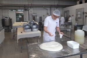 FSSŠ: Najveći pad broja upisanih učenika u poljoprivrednim školama