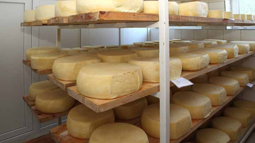 Kačkavalj - tradicionalni proizvod pirotskog kraja