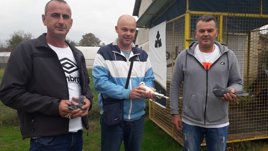 Nevena, Darka i Vukašina spojili golubovi pismonoše