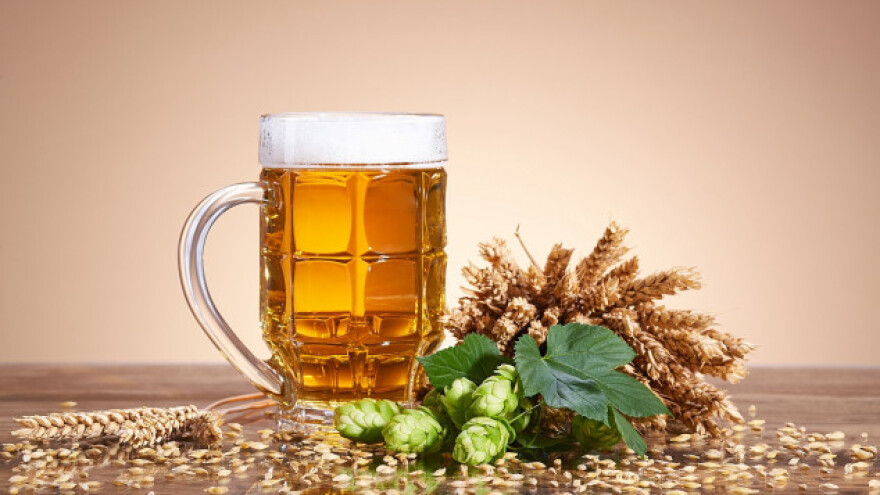 Volite pivo? Evo kako da ga sami proizvedete!