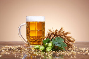 Volite pivo? Evo kako da ga sami proizvedete!