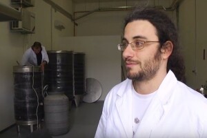 Kako skuhati pravo pivo?