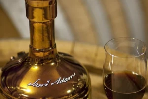 200 dolara za pivo s "nindža" kvascem