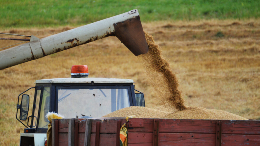 Za koliko će proizvodnja EU žitarica biti manja u odnosu na 2021?