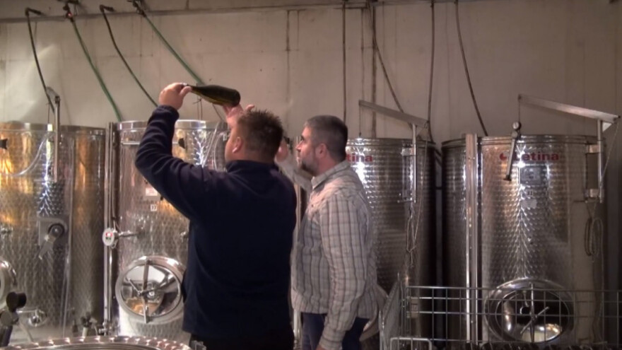 Sve popularnija proizvodnja pjenušavih vina