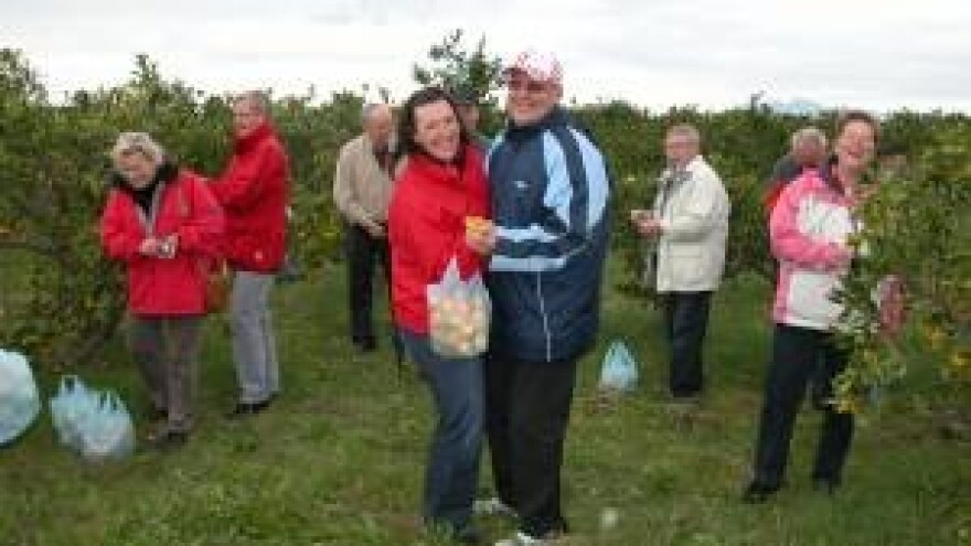 Lađa turističko plovilo u dolini Neretve