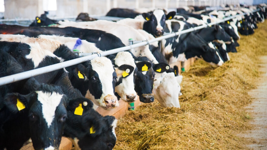 Početna cena za PKB 104.5 miliona evra