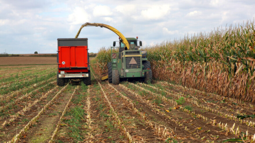 Veliki interes investitora za PKB