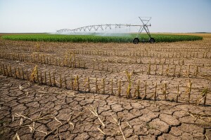 Plaćaju skupe studije za navodnjavanje, a naplaćuju štetu od suše
