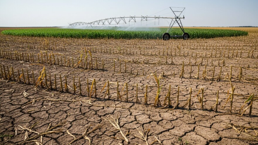 Plaćaju skupe studije za navodnjavanje, a naplaćuju štetu od suše