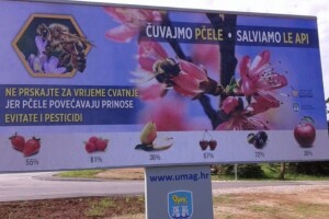 Osvanuo jumbo plakat o očuvanju pčela!