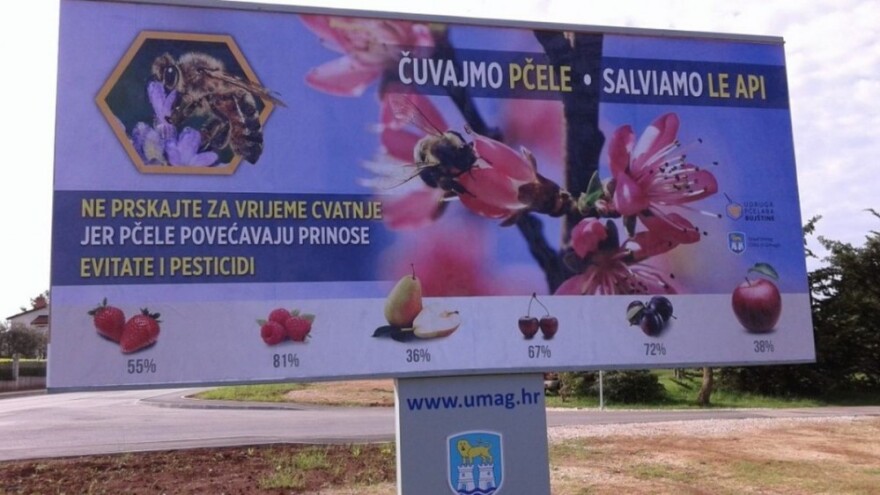 Osvanuo jumbo plakat o očuvanju pčela!