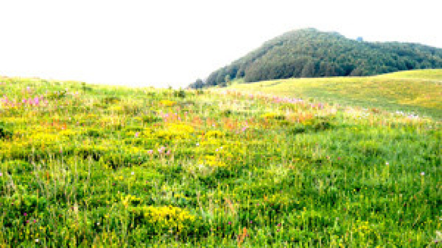 Put u izgubljenu zemlju