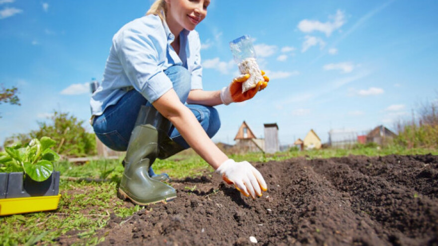 Besplatna aplikacija pomaže vam isplanirati vrt!