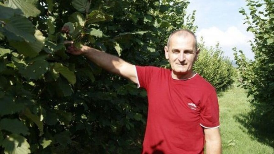 Prvi bihaćki lješnjaci!