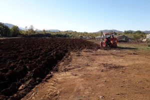 Uskoro realizacija projekta podizanja plantaže  smokve