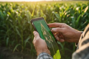 Plantix - aplikacija "liječnik za biljke"