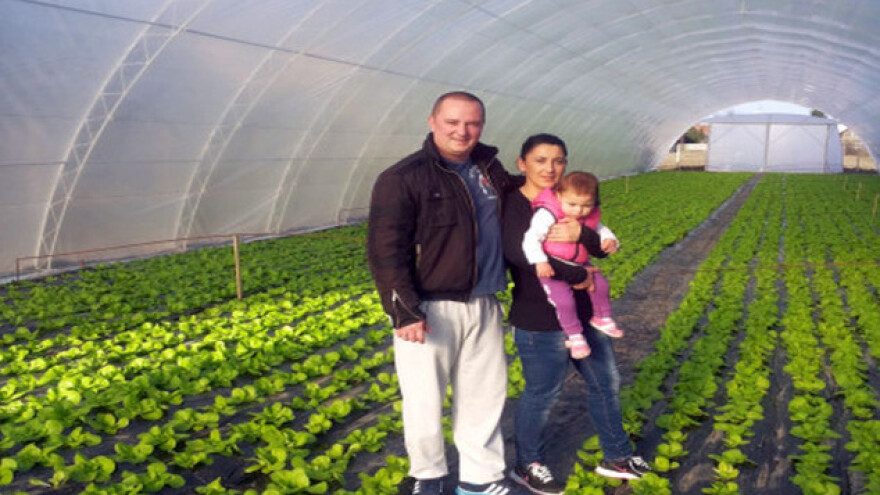 U jeku je prodaja salate