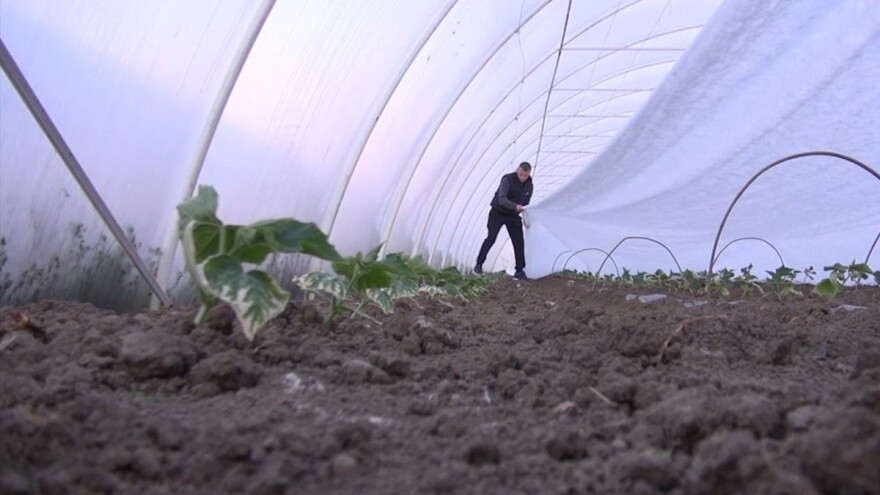 Kako pripremiti zemljište za sadnju povrća u plasteniku