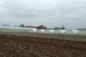 Podižu 50 plastenika u selu Zablaće - besplatno će ih koristiti stanovnici grada