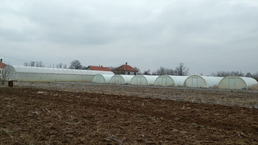 Podižu 50 plastenika u selu Zablaće - besplatno će ih koristiti stanovnici grada