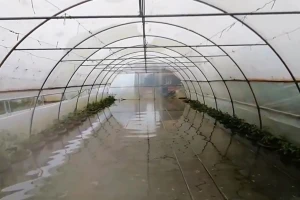 Očaj poljoprivrednika u okolini Prijedora: Hoće li iko doći?