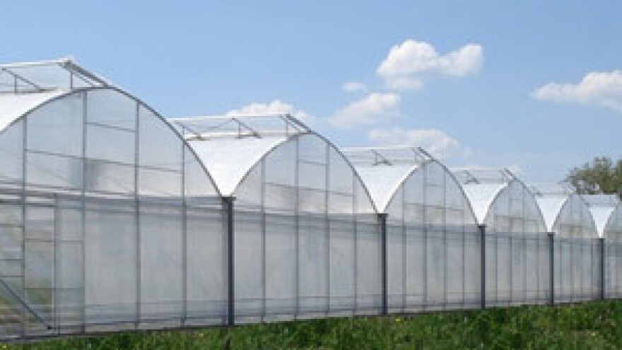 Dubrovačko-neretvanska županija pomoći će poljoprivrednicima