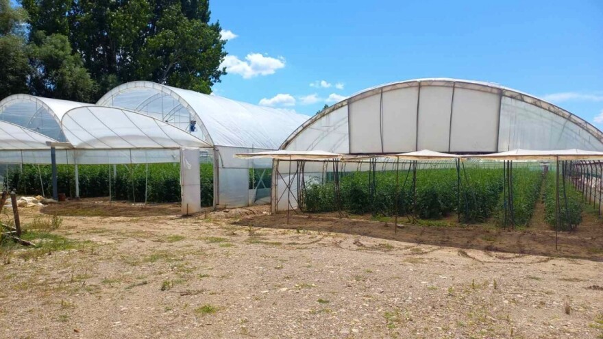 Ni plastenička proizvodnja nije imuna na klimatske promjene: Šta činiti?