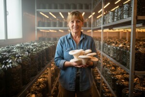 Plastenici - uzgoj gljiva