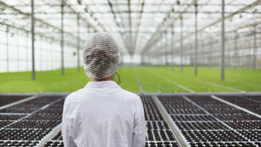 Poljoprivredom do osnaživanja civilnih žrtava rata