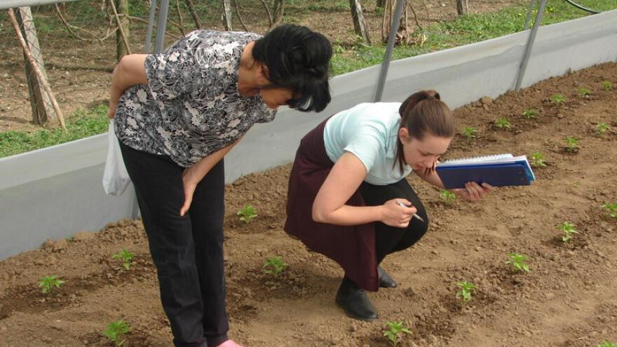 Dobili plastenike i proizveli 60 tona povrća