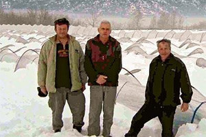 Uništeni plastenici sa sadnicama jagoda