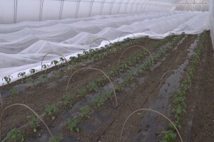 Izdvojeno 3 miliona KM za startap projekte i opremu u poljoprivredi