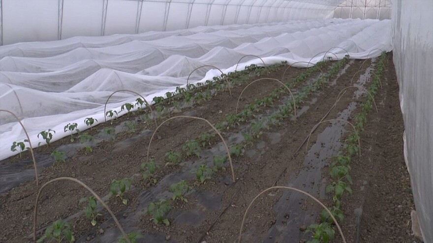 Izdvojeno 3 miliona KM za startap projekte i opremu u poljoprivredi