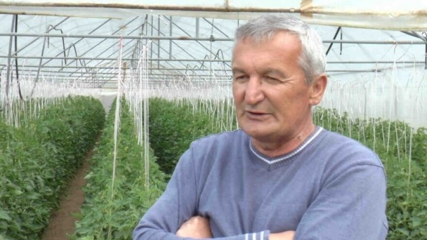 Sve je veći značaj plasteničke proizvodnje