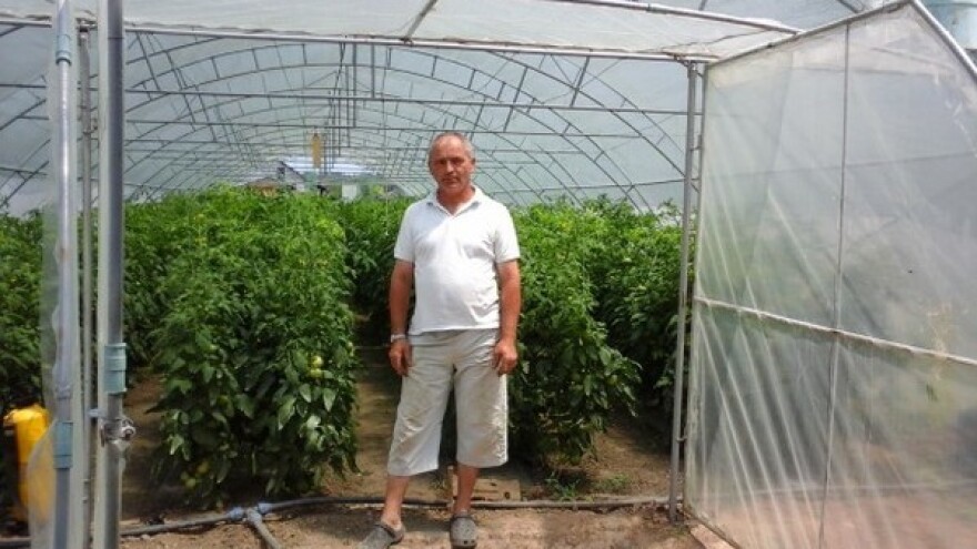 Dobra zarada u plasteničkoj proizvodnji