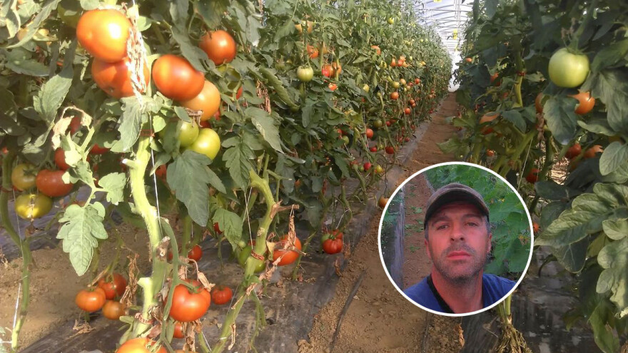 Aid Herceglija: Kupci uvijek traže različite proizvode pa u ponudi uvijek imam desetak različitih vrsta povrća