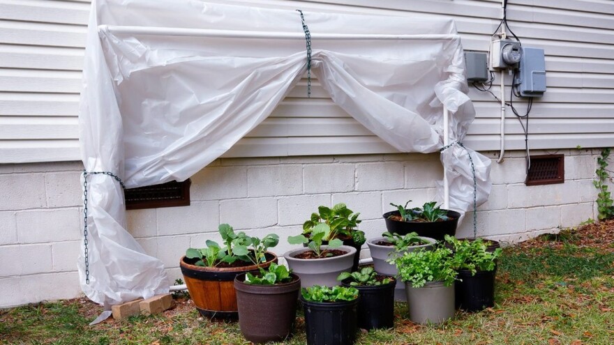 Napravite jednostavan i jeftin plastenik