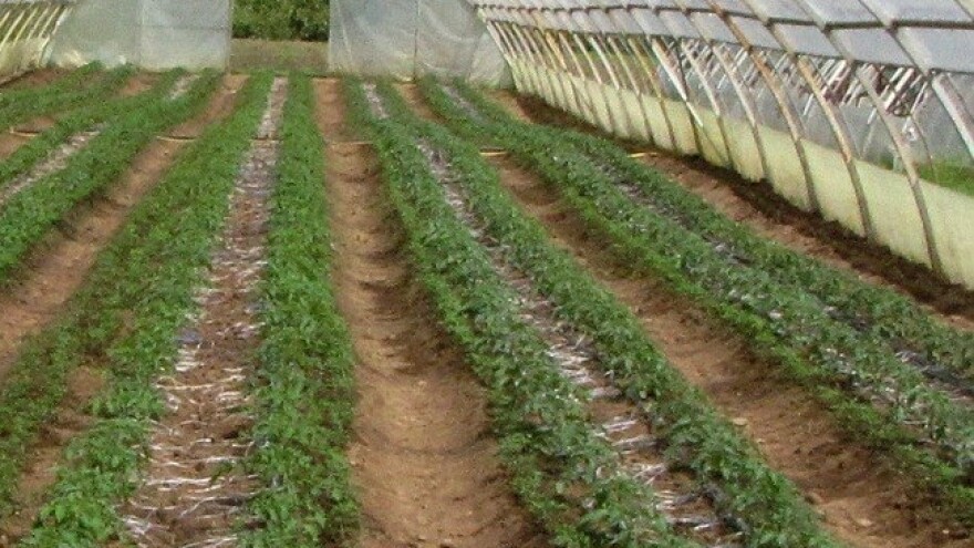 Dvadeset poljoprivrednika u Rudom bogatiji za plastenike - projekat vrijedan 50 hiljada KM