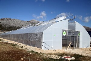 Vjetar uzrokovao veliku štetu u rasadniku mediteranskog bilja