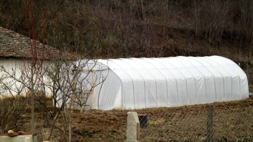 Aktuelni problemi u proizvodnji rasada i kako ih rešiti