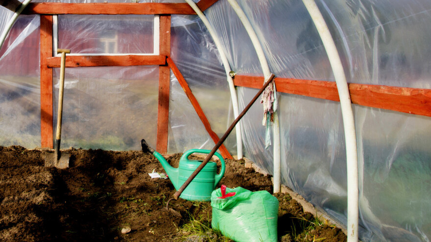 Fitosanitarne mjere u plasteniku - svakako ih obavite