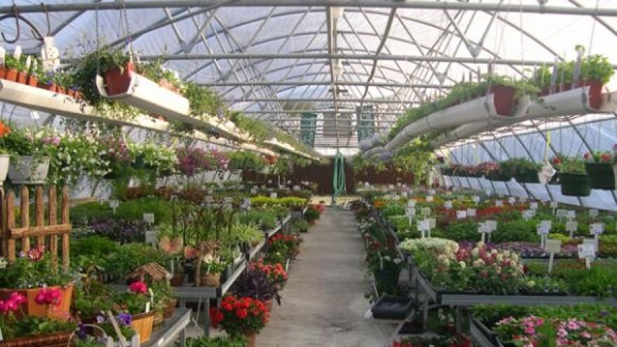 Za plastenike 1,5 milijuna kuna