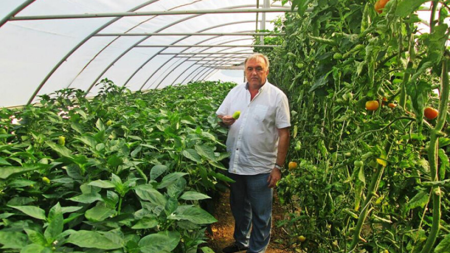 Za radničku trpezu povrće iz vlastitog plastenika