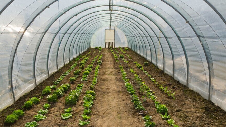 Za stabilne prinose povrća redovno provjetravajte plastenike